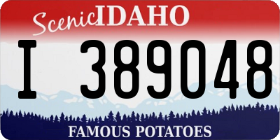 ID license plate I389048