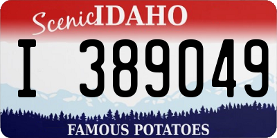 ID license plate I389049