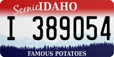 ID license plate I389054