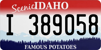 ID license plate I389058