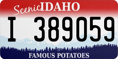 ID license plate I389059