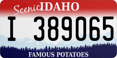 ID license plate I389065