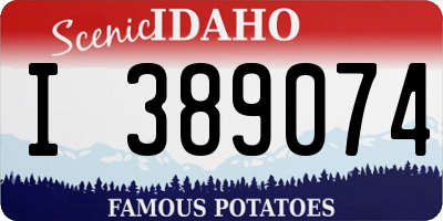 ID license plate I389074