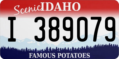 ID license plate I389079