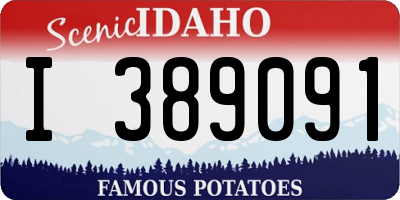 ID license plate I389091