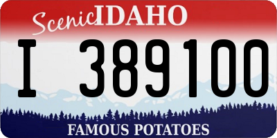 ID license plate I389100