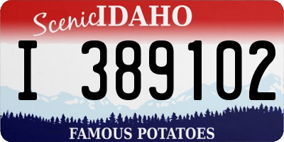 ID license plate I389102