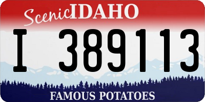 ID license plate I389113