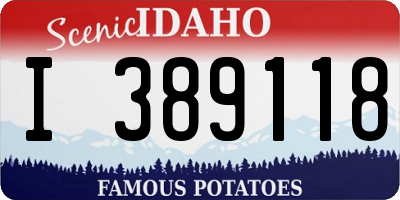 ID license plate I389118