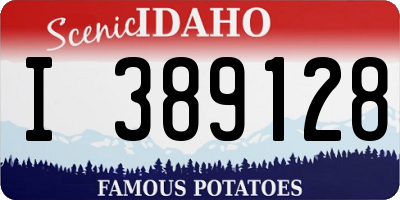 ID license plate I389128