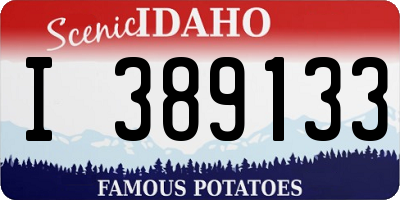 ID license plate I389133