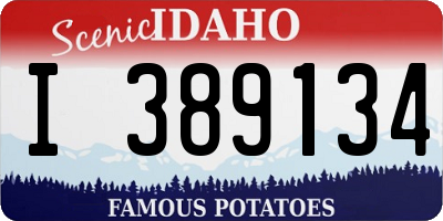 ID license plate I389134