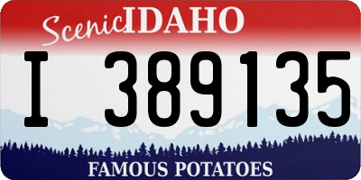 ID license plate I389135