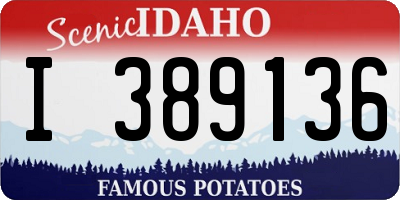 ID license plate I389136