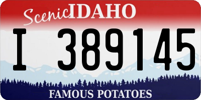 ID license plate I389145