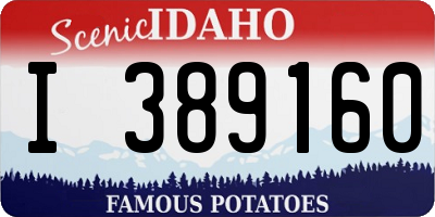 ID license plate I389160