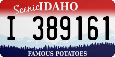 ID license plate I389161