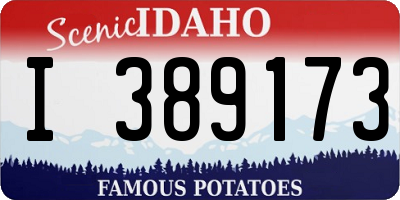 ID license plate I389173