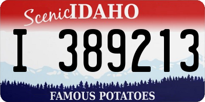 ID license plate I389213