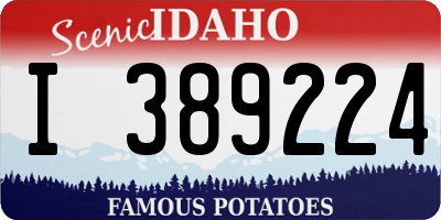 ID license plate I389224