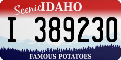 ID license plate I389230