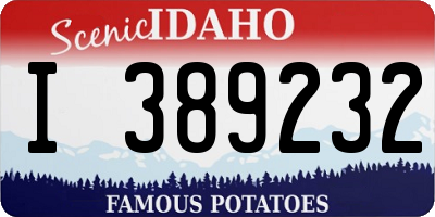ID license plate I389232