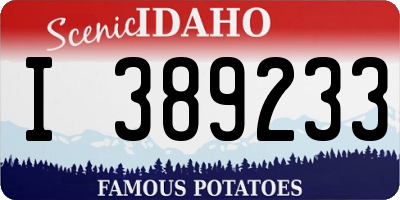 ID license plate I389233