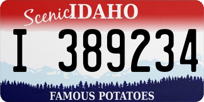 ID license plate I389234