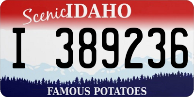 ID license plate I389236