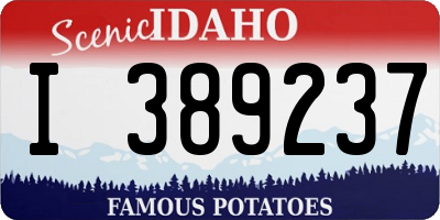 ID license plate I389237