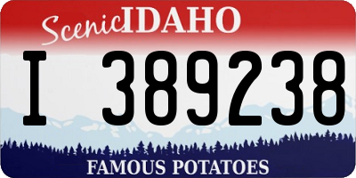 ID license plate I389238