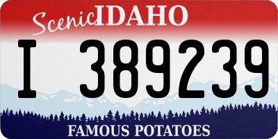 ID license plate I389239