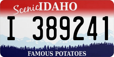 ID license plate I389241