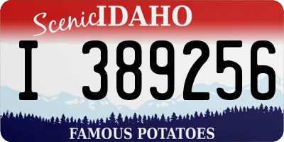 ID license plate I389256