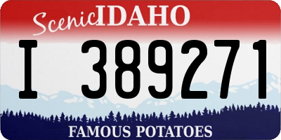 ID license plate I389271