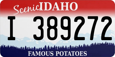 ID license plate I389272