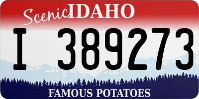 ID license plate I389273