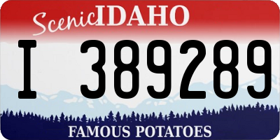 ID license plate I389289