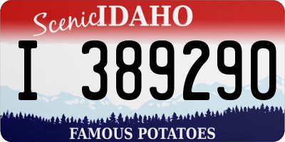 ID license plate I389290