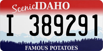 ID license plate I389291