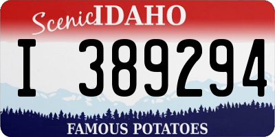 ID license plate I389294