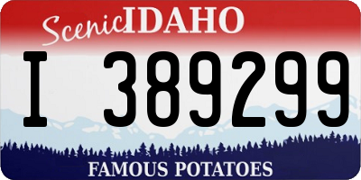 ID license plate I389299