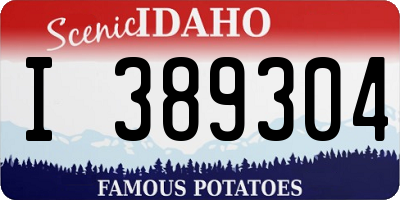 ID license plate I389304