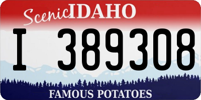 ID license plate I389308