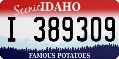 ID license plate I389309