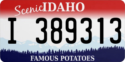 ID license plate I389313