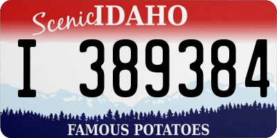 ID license plate I389384