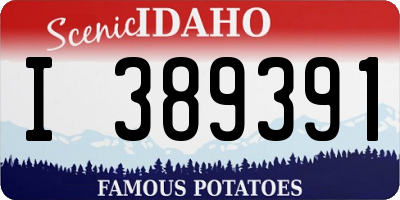 ID license plate I389391