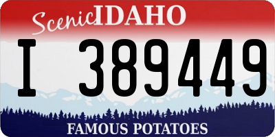 ID license plate I389449