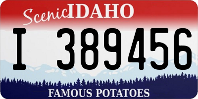 ID license plate I389456